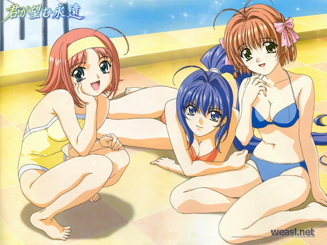 Three anime girls beach bikini free wallpaper for desktop - medium preview image
