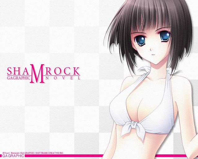 Woman bikini pink border argyle free wallpaper for desktop - medium preview image