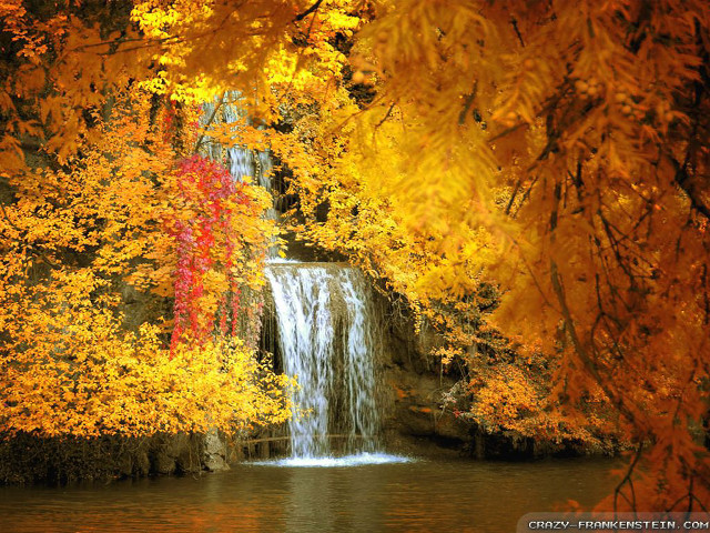 Waterfall trees yellow leaves red free wallpaper for desktop - medium preview image