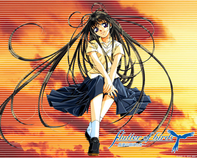 Girl cloud longhair wind blue free wallpaper for desktop - medium preview image