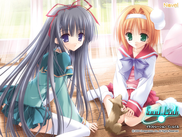 Anime girls cat sitting school free wallpaper for desktop - medium preview image