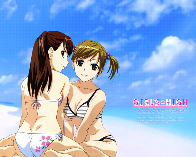 Beach girls bikinis blue sky free wallpaper for desktop - medium preview image
