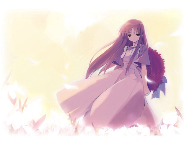 Girl dress longhair purplecape flowerfield free wallpaper for desktop - medium preview image
