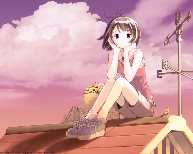 Girl roof flower basket anime free wallpaper for desktop - medium preview image