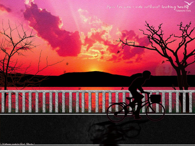 Bridge sunset bicycle pink sky free wallpaper for desktop - medium preview image