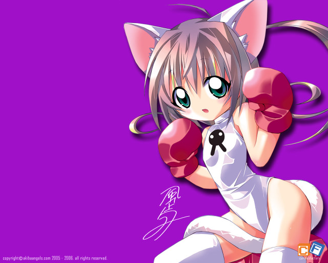 Cat ears boxing gloves anime free wallpaper for desktop - medium preview image