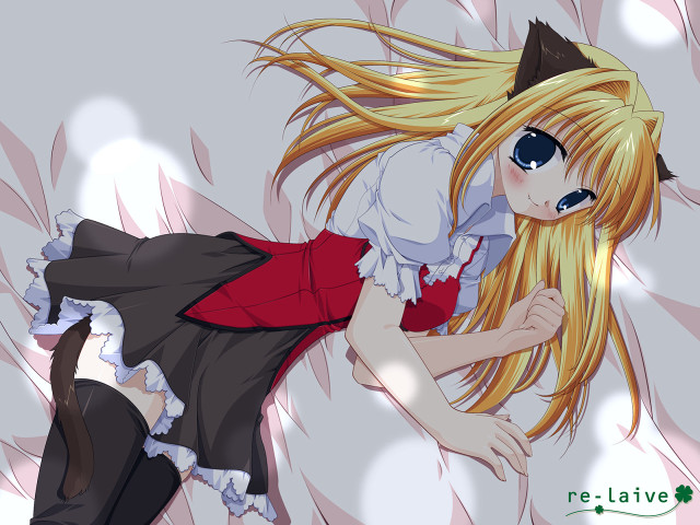 Girl cat ears blowing wind free wallpaper for desktop - medium preview image