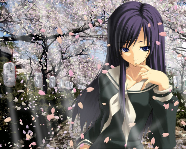 Purple hair woman cherry blossoms free wallpaper for desktop - medium preview image