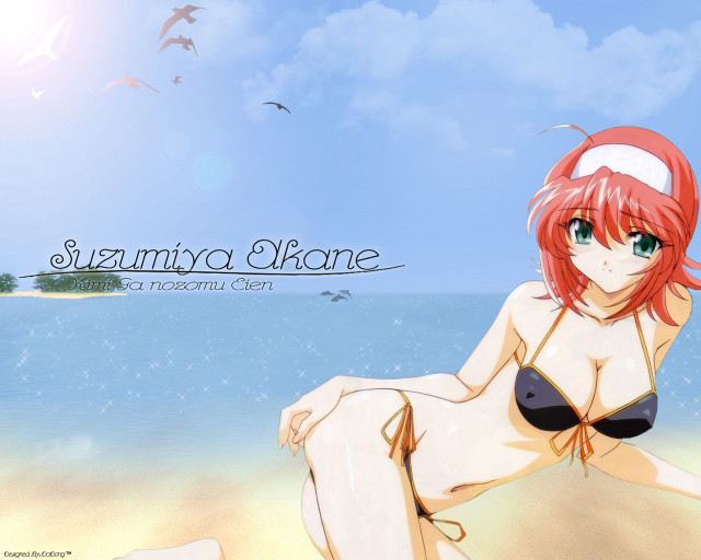 Beach bikini girl seagull summer free wallpaper for desktop - medium preview image