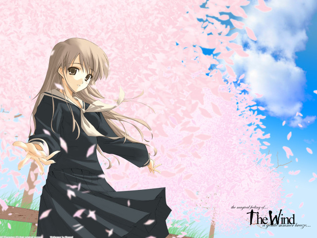 Woman black dress bench pink #2 free wallpaper for desktop - medium preview image