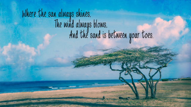 Tree beach sun quote jigsaw free wallpaper for desktop - medium preview image
