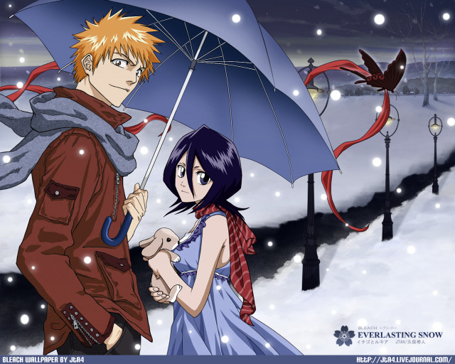 Man woman umbrella snow bird free wallpaper for desktop - medium preview image