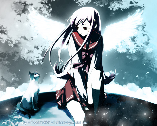 Girl cat night sky wings free wallpaper for desktop - medium preview image