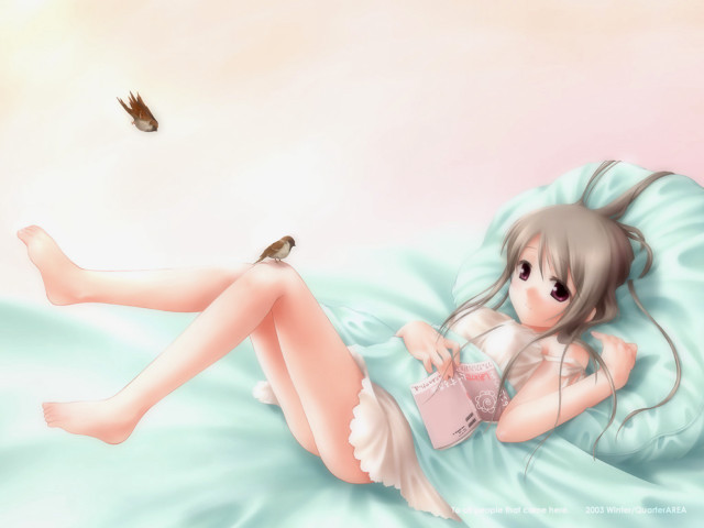 Girl bird bed fantasy anime free wallpaper for desktop - medium preview image