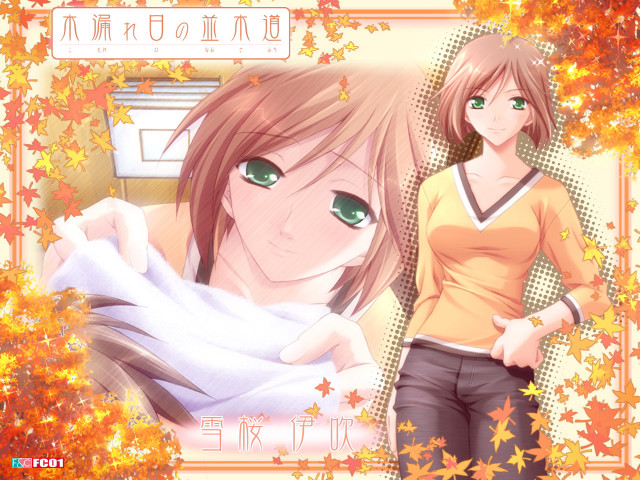 Green eyes brown hair autumn free wallpaper for desktop - medium preview image