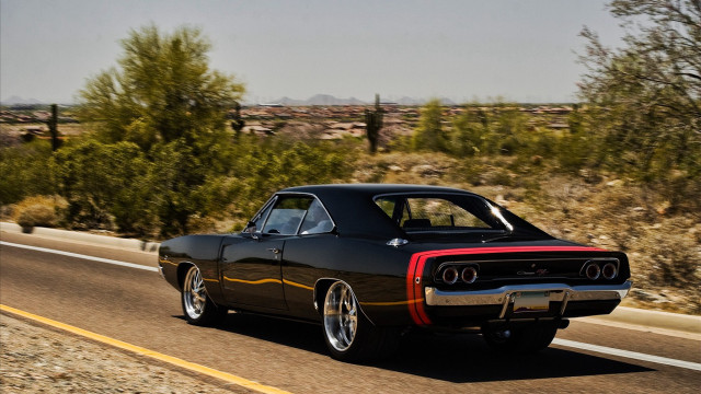 Black car forest road sunny free wallpaper for desktop - medium preview image