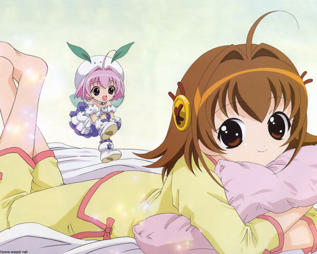 Girl bunny lying bed anime free wallpaper for desktop - medium preview image