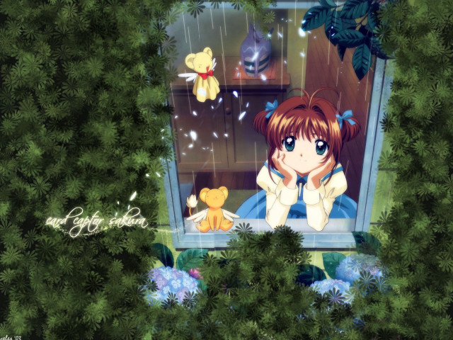 Girl window teddy bear kyoto free wallpaper for desktop - medium preview image