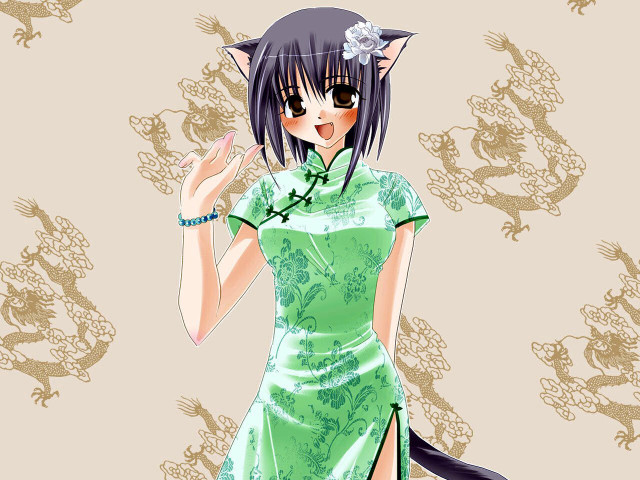 Woman green dress cat dragon free wallpaper for desktop - medium preview image
