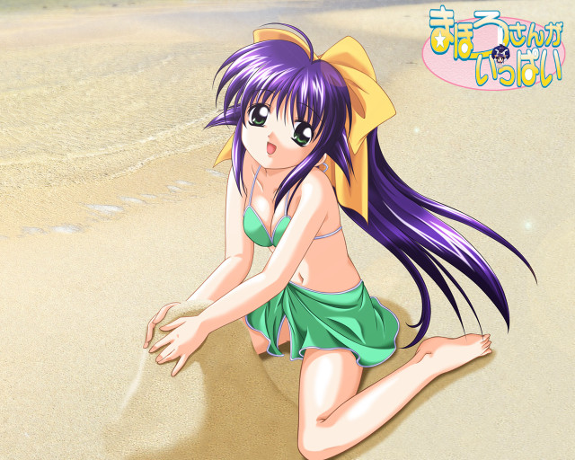 Girl beach bikini pony tail free wallpaper for desktop - medium preview image