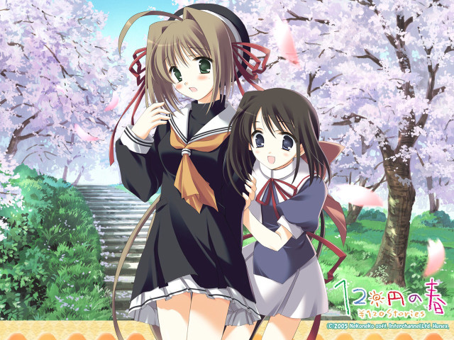 Anime girls cherry blossoms spring free wallpaper for desktop - medium preview image