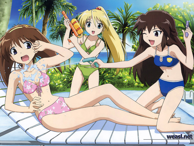 Three girls pool bikini sunscreen free wallpaper for desktop - medium preview image