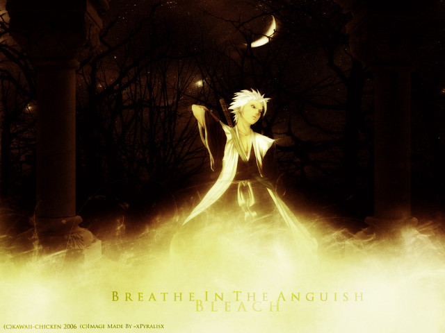 Woman white dress staff forest free wallpaper for desktop - medium preview image