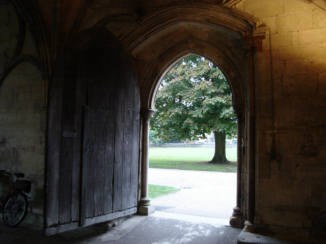 Wooden door bike sidewalk tree free wallpaper for desktop - medium preview image
