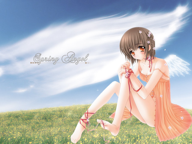 Girl dress grass sky clouds free wallpaper for desktop - medium preview image
