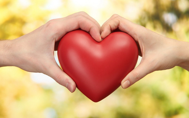 Hands heart tree background blurred free wallpaper for desktop - medium preview image