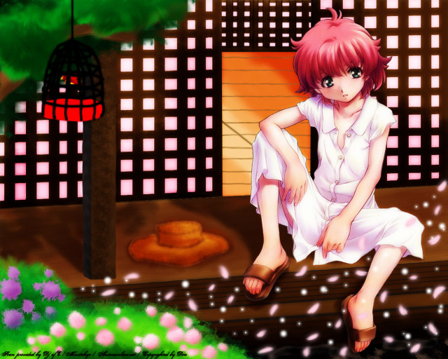 Girl bench building birdcage cherryblossoms free wallpaper for desktop - medium preview image