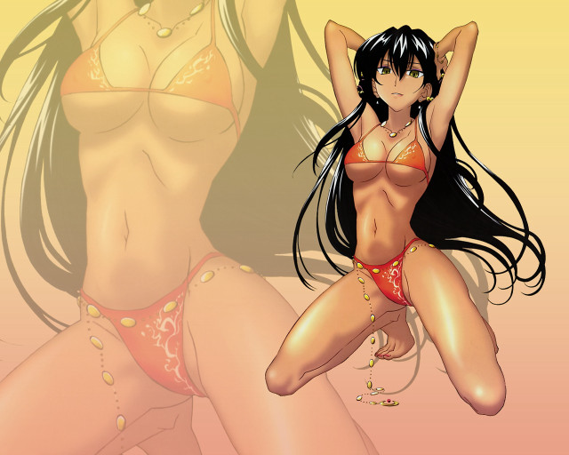 Cartoon woman bikini wind blowing #2 free wallpaper for desktop - medium preview image