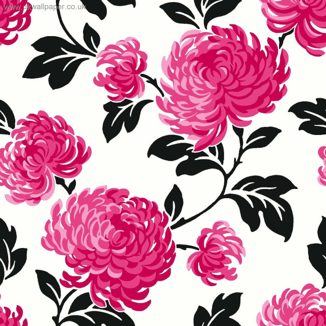 Pink flower white background black free wallpaper for tablet - medium preview image