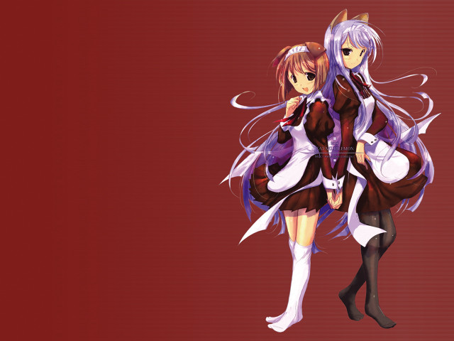 Anime girls cat ears tail #2 free wallpaper for desktop - medium preview image