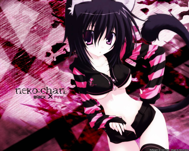 Pink black outfit cat tail free wallpaper for desktop - medium preview image