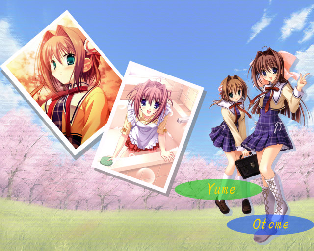Anime girls cherry blossoms school free wallpaper for desktop - medium preview image