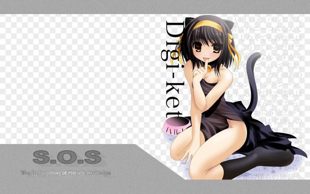 Black dress woman cat sitting free wallpaper for desktop - medium preview image