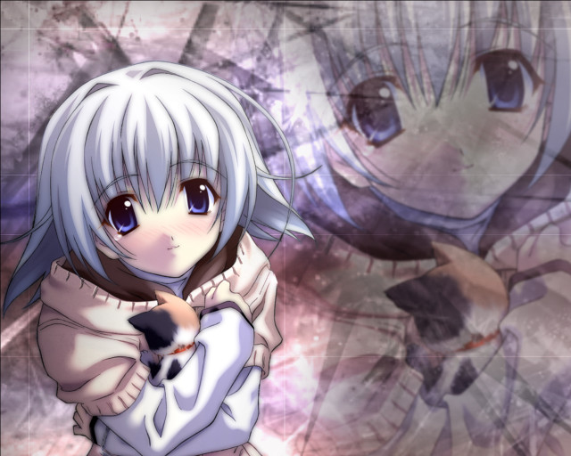 Anime white haired girl blue free wallpaper for desktop - medium preview image