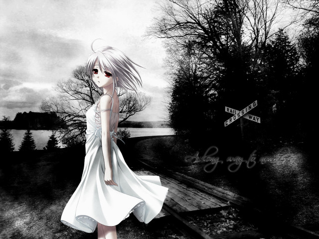 Girl white dress forest night free wallpaper for desktop - medium preview image