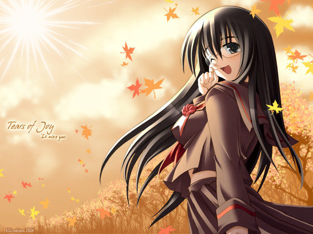 Girl dress field leaves sunset free wallpaper for desktop - medium preview image