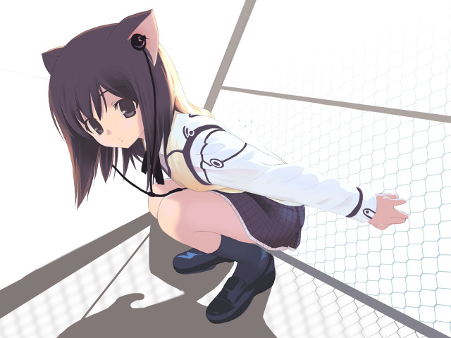 Woman cat ears fence anime free wallpaper for desktop - medium preview image