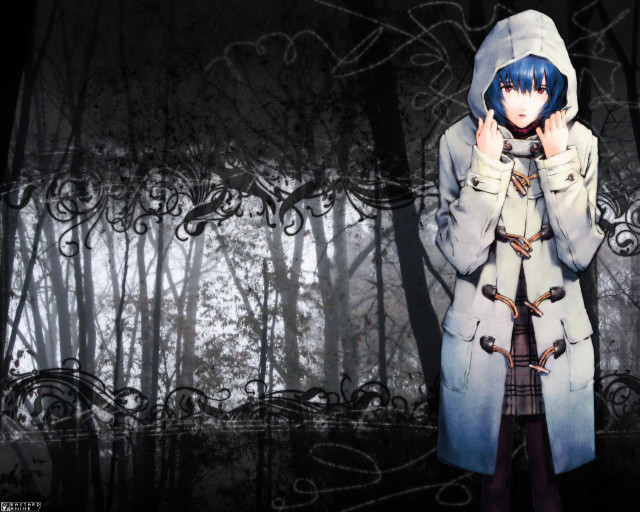 Woman hooded coat forest redd free wallpaper for desktop - medium preview image
