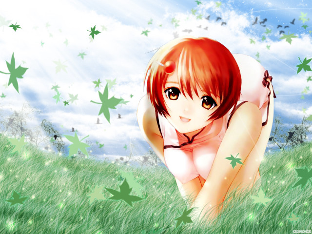 Girl field stars butterfly redhair free wallpaper for desktop - medium preview image