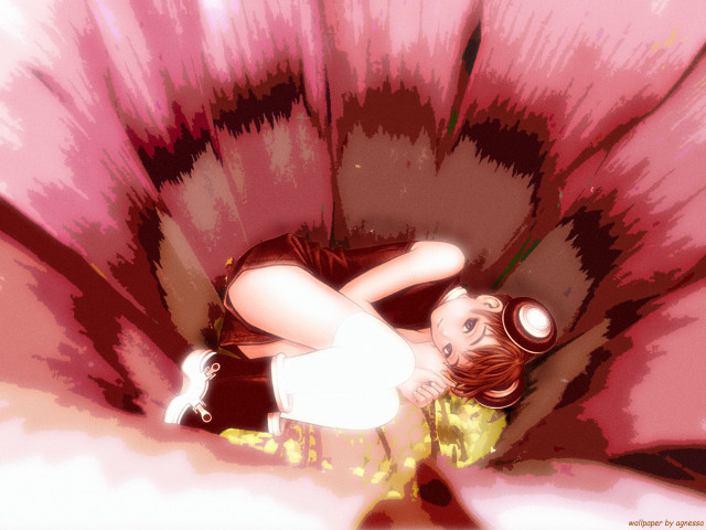 Flower woman magnifying glass anime free wallpaper for desktop - medium preview image