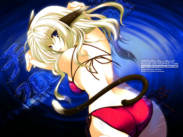 Cartoon sword blue swirl cat free wallpaper for desktop - medium preview image