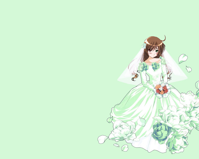 Wedding dress flower veil green free wallpaper for desktop - medium preview image