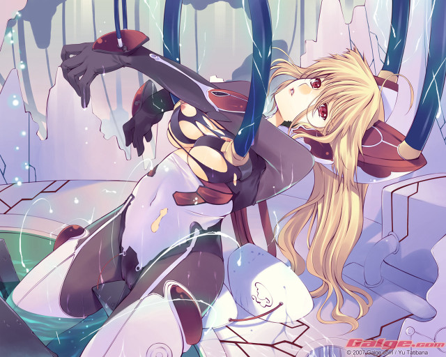 Evelyn abelson blonde sword cat free wallpaper for desktop - medium preview image