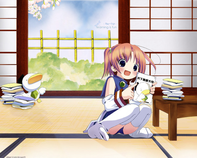 Girl coffee reading cherryblossoms anime free wallpaper for desktop - medium preview image