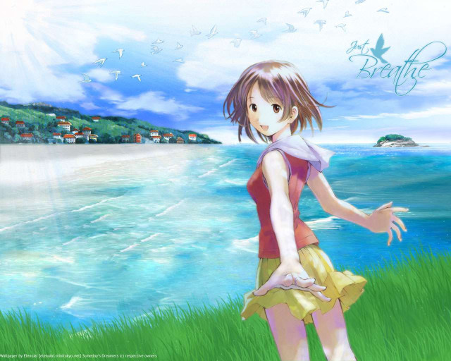 Girl ocean grass bird sky free wallpaper for desktop - medium preview image