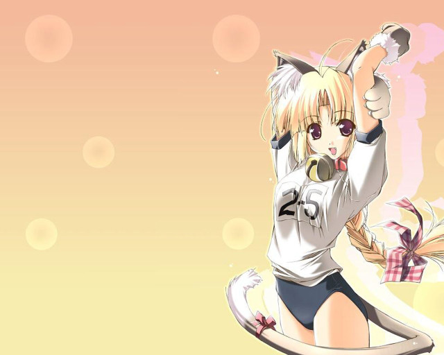 Anime girl cat ears white free wallpaper for desktop - medium preview image